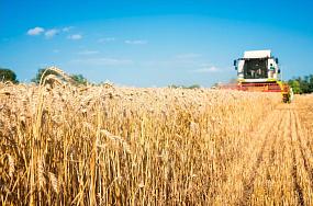 Дружественная торговля